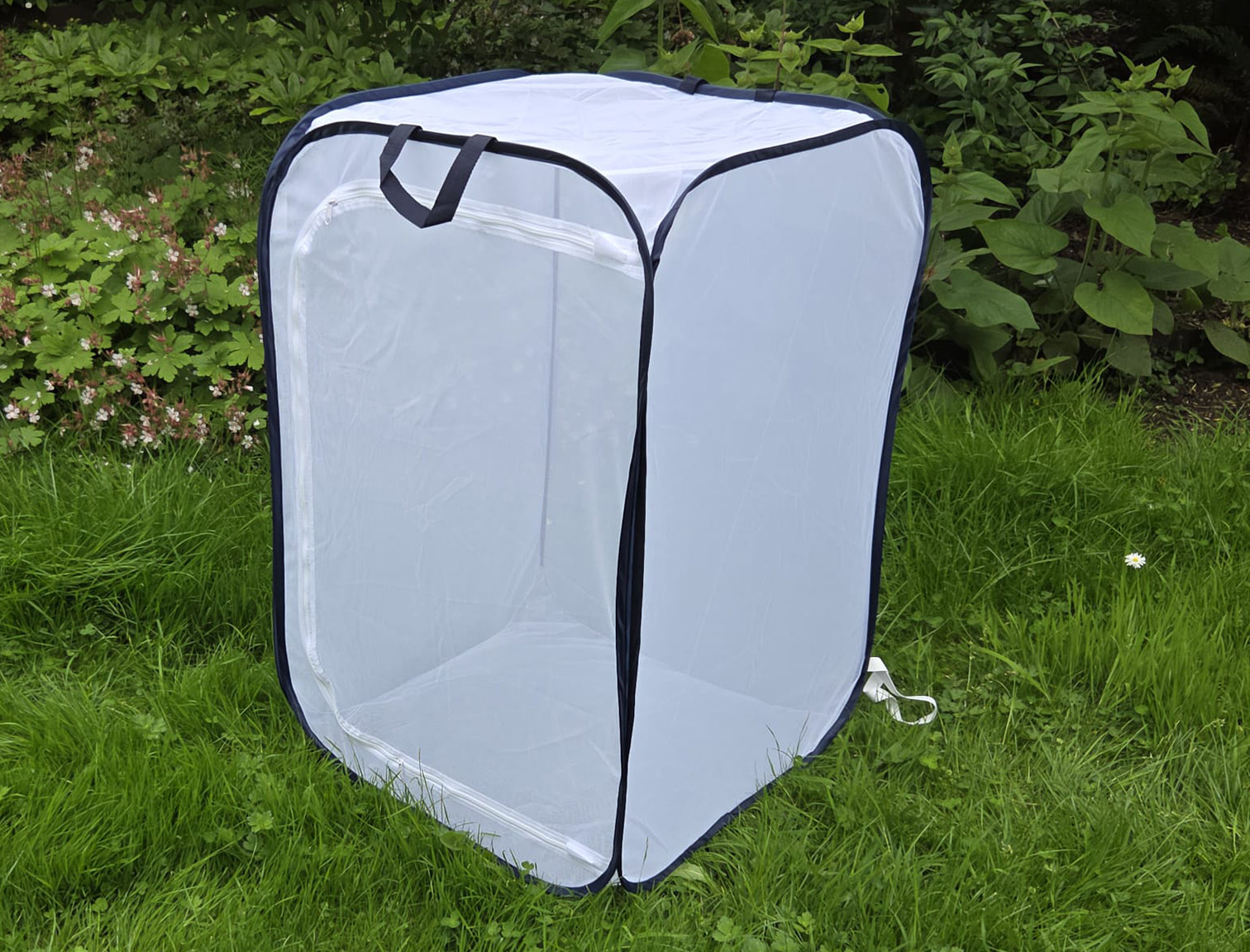 kweekkooi volledig gaas 60x60x90